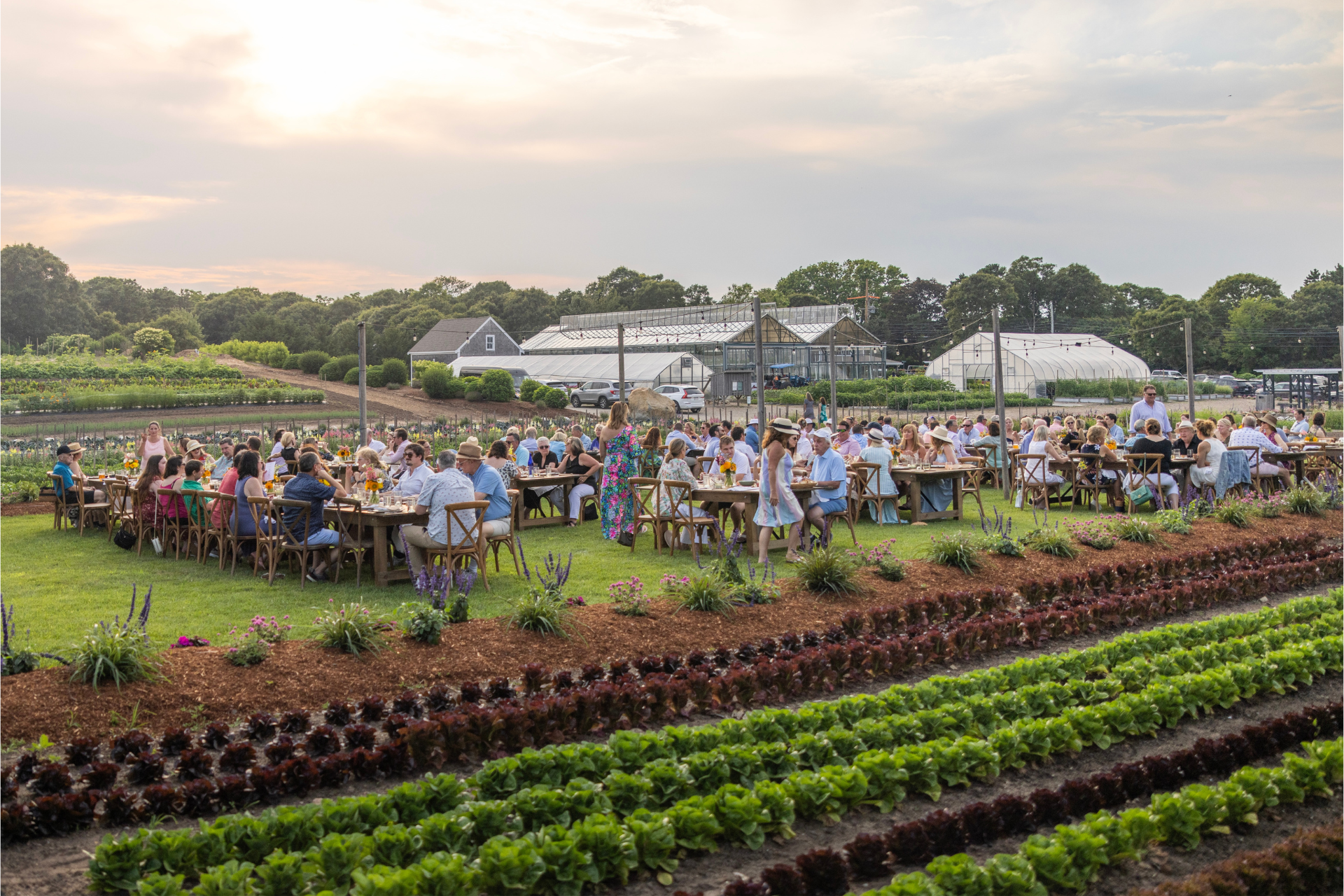 A large outdoor gathering at long tables in a garden setting, surrounded by plants and greenhouses.