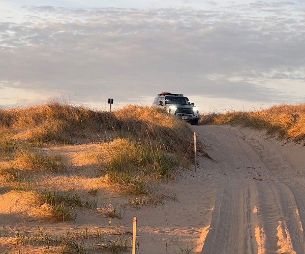 A vehicle is parked on sand dunes, surrounded by grass under a partly cloudy sky, with a tire-marked path leading up to it.